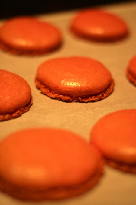 macarons_v3_3.jpg
